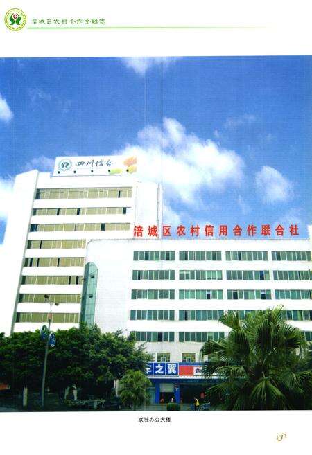《《涪城区农村合作金融志(1936-2005)》》.pdf电子版_四川省志预览图4