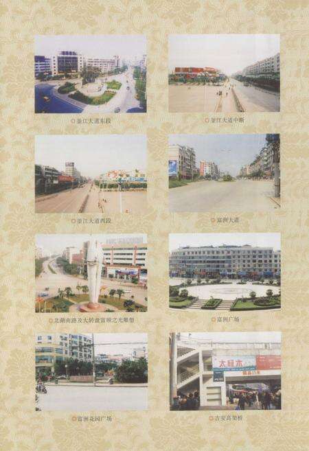 《富顺县规划和建设志(1986-2006)》.pdf电子版_四川省志预览图5