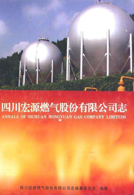 《四川宏源燃气股份有限公司志》.pdf电子版_四川省志缩略图