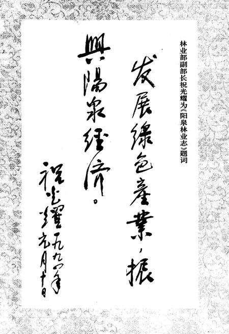 《《汶川特大地震中国石油抗震救灾志》》.pdf电子版_四川省志预览图2