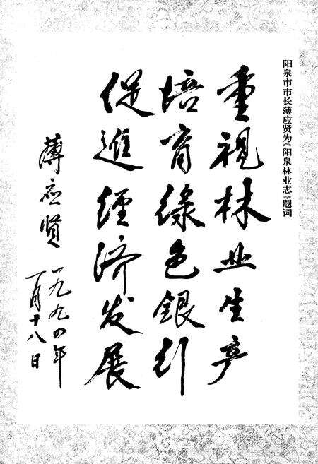 《《汶川特大地震中国石油抗震救灾志》》.pdf电子版_四川省志预览图3