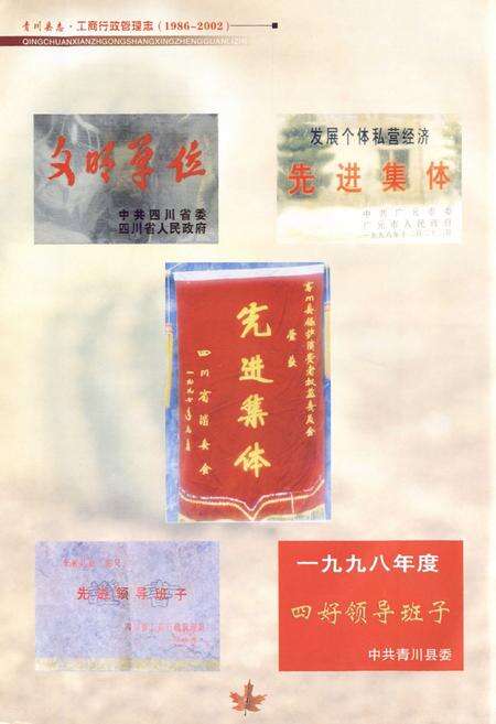 《青川县志工商行政管理志(1986~2002)》.pdf电子版_四川省志预览图5