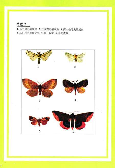 《凉山林木害虫图志》.pdf电子版_四川省志预览图4