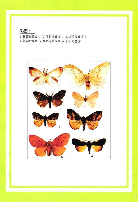 《凉山林木害虫图志》.pdf电子版_四川省志预览图5