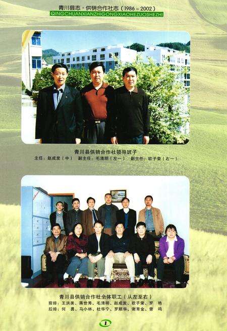 《青川县志供销合作社志(1986-2002)》.pdf电子版_四川省志预览图2