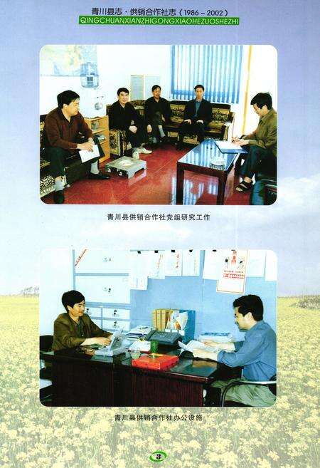 《青川县志供销合作社志(1986-2002)》.pdf电子版_四川省志预览图4