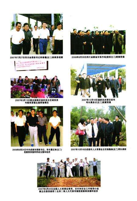 《双流县煎茶镇志(2005年本)》.pdf电子版_四川省志预览图4