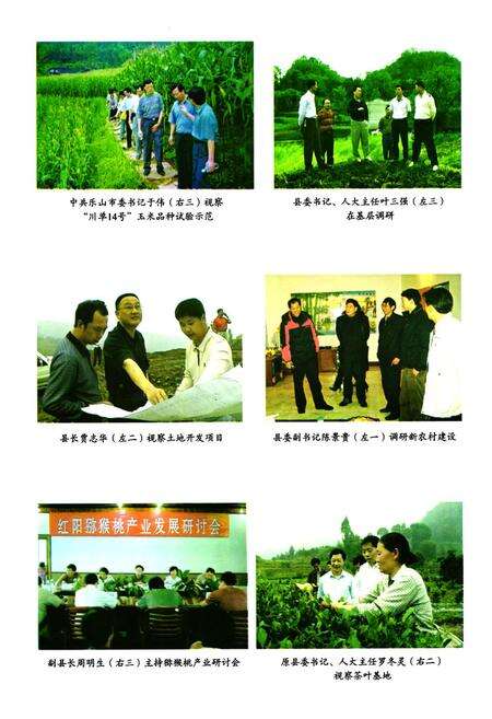 《沐川县农业志》.pdf电子版_四川省志预览图4