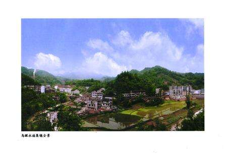 《永福镇志》.pdf电子版_四川省志预览图5