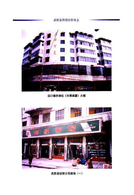 《武胜县供销合作社志(1986-2005)》.pdf电子版_四川省志预览图3