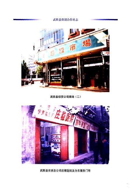 《武胜县供销合作社志(1986-2005)》.pdf电子版_四川省志预览图4