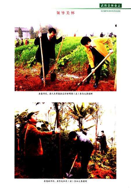 《武胜县林业志(1919-2008)》.pdf电子版_四川省志预览图2