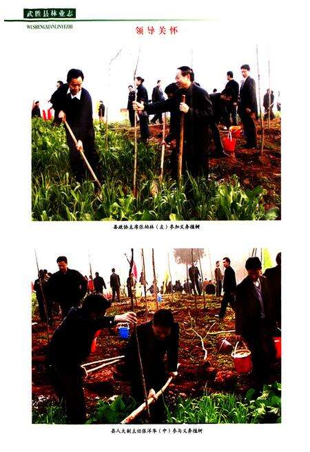 《武胜县林业志(1919-2008)》.pdf电子版_四川省志预览图3