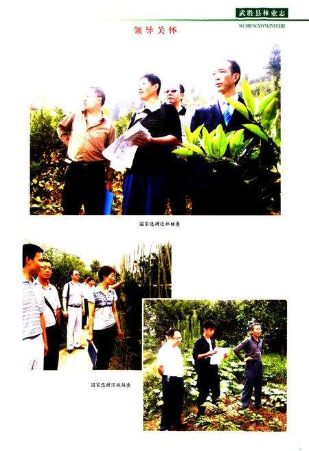 《武胜县林业志(1919-2008)》.pdf电子版_四川省志预览图4