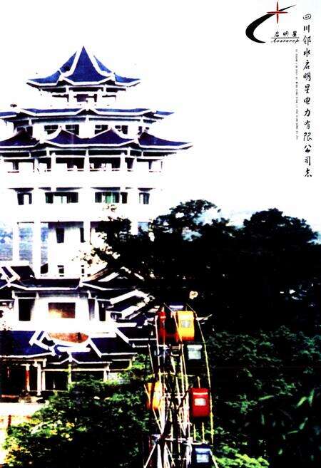 《《四川邻水启明星电力有限公司志》》.pdf电子版_四川省志预览图4