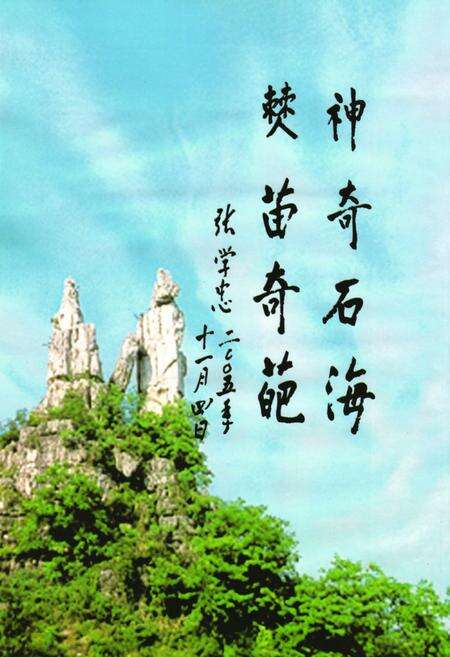 《中国·兴文石海志》.pdf电子版_四川省志预览图2