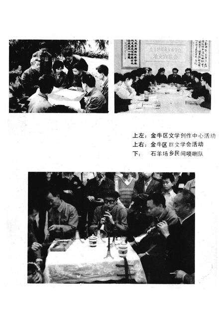 《金牛区文化志》.pdf电子版_四川省志预览图5