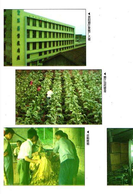 《内江地区烟草志》.pdf电子版_四川省志预览图3