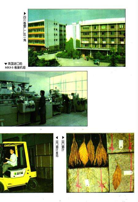 《内江地区烟草志》.pdf电子版_四川省志预览图4