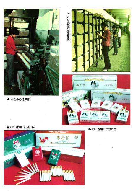 《内江地区烟草志》.pdf电子版_四川省志预览图5