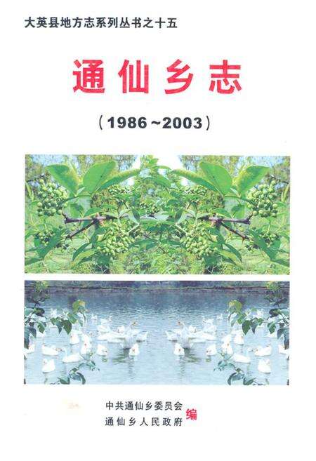 《《通仙乡志(1986~2003)》》.pdf电子版_四川省志缩略图