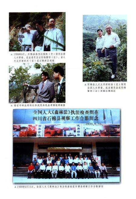 《石棉县林业志》.pdf电子版_四川省志预览图3