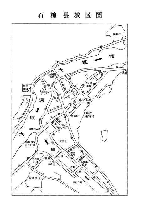 《新棉镇志》.pdf电子版_四川省志预览图3