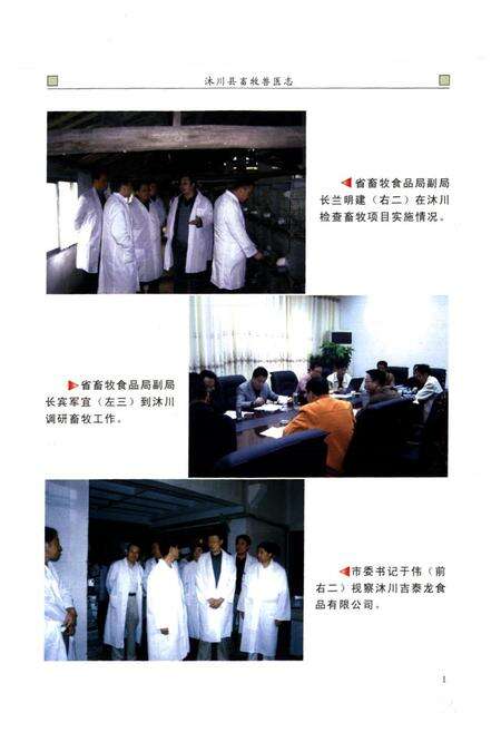 《沐川县畜牧兽医志(1932-2006)》.pdf电子版_四川省志预览图4