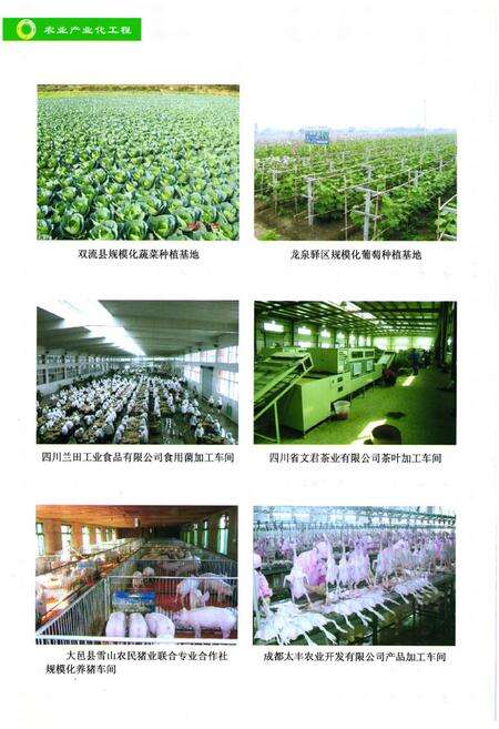 《成都市农业志(1990-2005)》.pdf电子版_四川省志预览图5