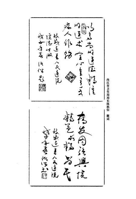 《威远县人民医院志(1941-2008)》.pdf电子版_四川省志预览图3