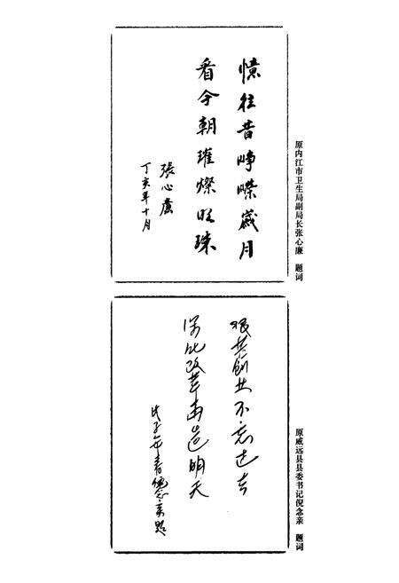 《威远县人民医院志(1941-2008)》.pdf电子版_四川省志预览图4