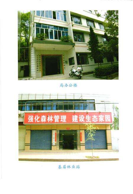 《乐至县林业志(1986-2007)》.pdf电子版_四川省志预览图5