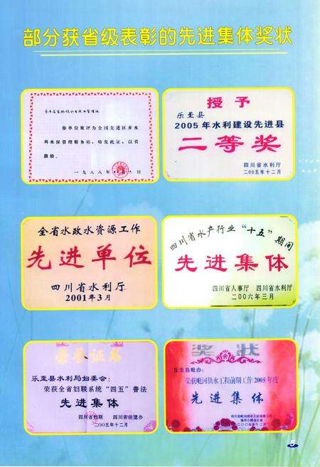 《乐至县水利志(1986-2005)》.pdf电子版_四川省志预览图5