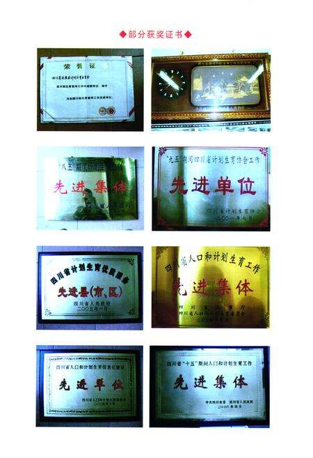 《乐至县人口和计划生育志(1986-2005)》.pdf电子版_四川省志预览图5