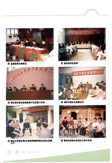 《名山县农村信用联社志(1996-2005)》.pdf电子版_四川省志预览图4