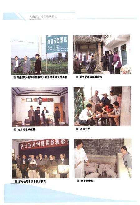 《名山县农村信用联社志(1996-2005)》.pdf电子版_四川省志预览图5