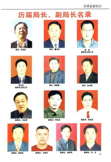 《石棉县畜牧志(1986~2000)》.pdf电子版_四川省志预览图4