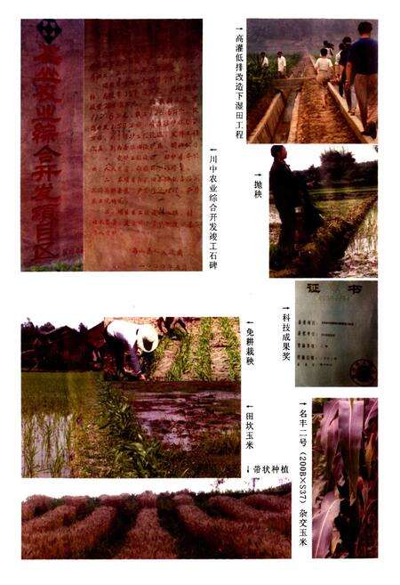 《名山县农业志》.pdf电子版_四川省志预览图5