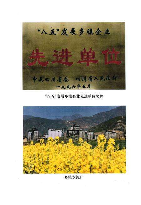 《凉山彝族自治州乡镇企业志》.pdf电子版_四川省志预览图5