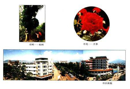 《《西昌市城乡建设志》》.pdf电子版_四川省志预览图4