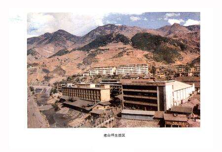 《《益门煤矿志(1958-1985)》》.pdf电子版_四川省志预览图4