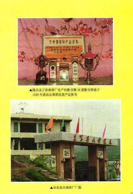 《内江地区乡镇企业志》.pdf电子版_四川省志预览图4