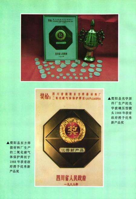 《内江地区乡镇企业志》.pdf电子版_四川省志预览图5