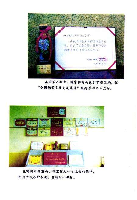 《绵阳市档案志》.pdf电子版_四川省志预览图5