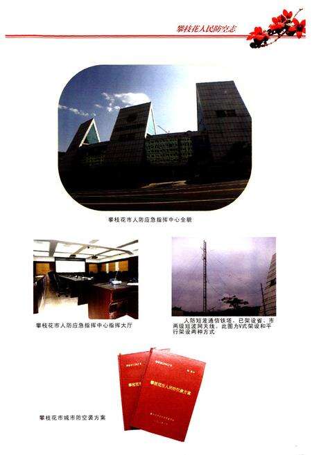 《《攀枝花市人民防空志(1969~2008)》》.pdf电子版_四川省志预览图5