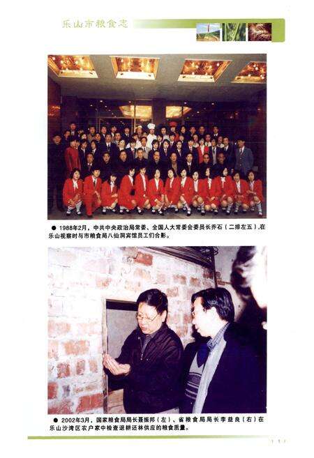 《《乐山市粮食志》》.pdf电子版_四川省志预览图1