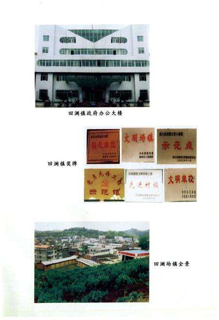 《乐至县回澜镇志(1986-2005)》.pdf电子版_四川省志预览图4