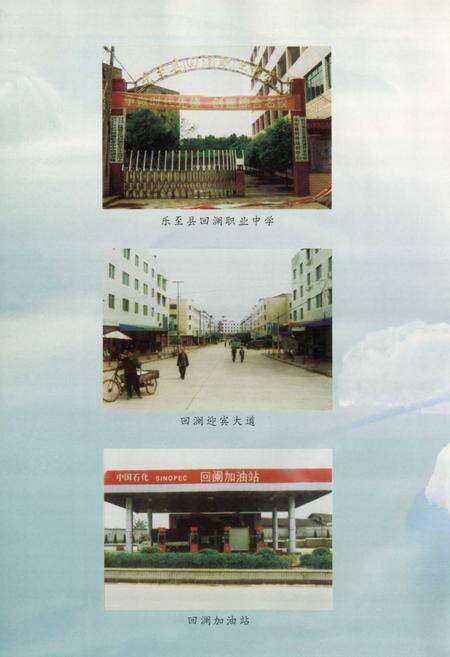 《乐至县回澜镇志(1986-2005)》.pdf电子版_四川省志预览图5