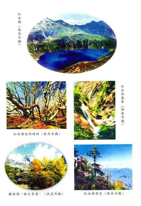 《九龙县民族志》.pdf电子版_四川省志预览图3