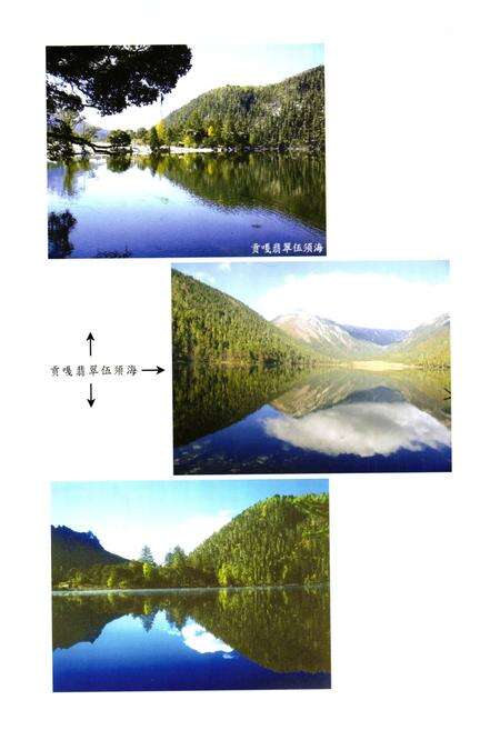 《九龙县民族志》.pdf电子版_四川省志预览图5